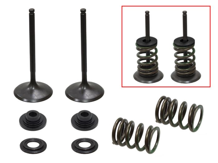 Psychic Intake Valve Kit XU-09536IK for Automotive Applications