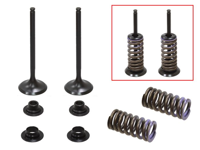 Psychic Intake Valve Kit XU-09545IK for Automotive Applications