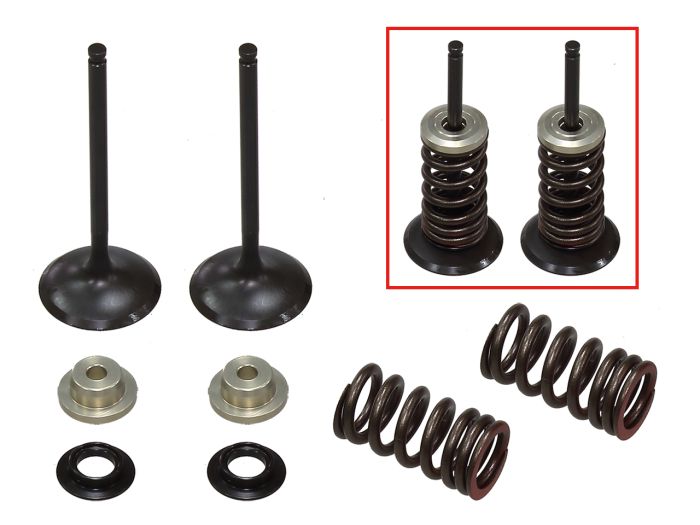 Psychic Intake Valve Kit XU-09530IK - Complete Automotive Replacement