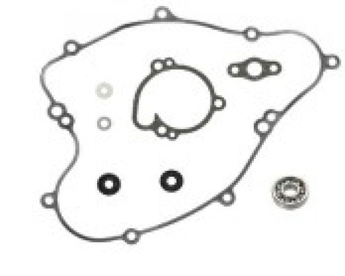 PSYCHIC MX-10239 Water Pump Repair Kit