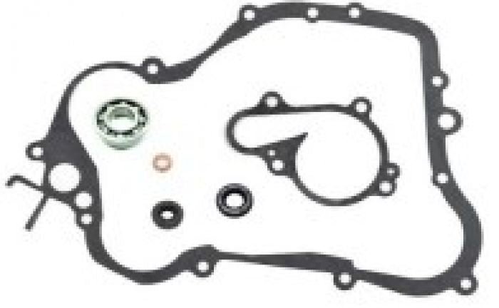 PSYCHIC MX-10232 Water Pump Repair Kit