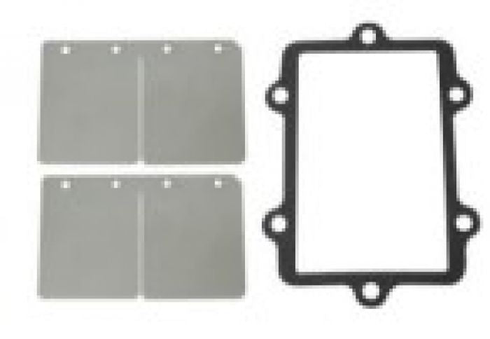 SPI Reed Valve Repair Kit A/C - Part Number SM-07152C