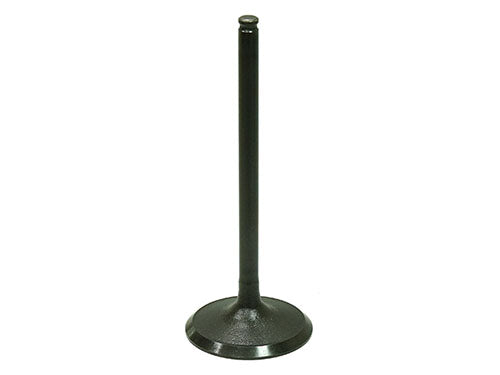 Bronco AU-09204I Intake Valve – Reliable Engine Performance for Your Vehicle