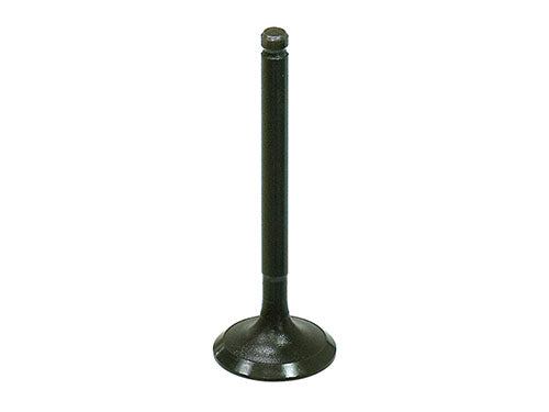 Bronco AU-09212I Intake Valve - High-Performance Engine Replacement Part