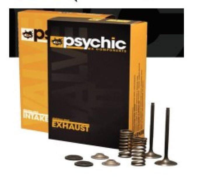 Psychic Exhaust Valve XU-09518E - Reliable Engine Performance Component