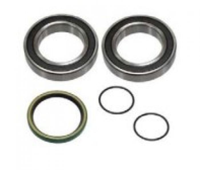 SPI Chain Case Bearing Kit (Part Number SM-03178)