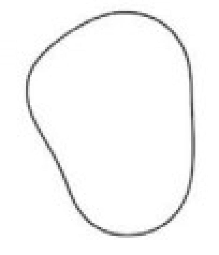 SPI Chaincase Gasket SM-03130 for Heavy-Duty Machinery