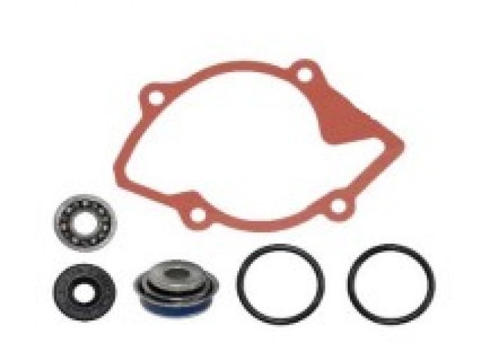 SPI Water Pump Repair Kit (Part Number: SM-10101) for Reliable Pump Maintenance