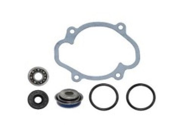 SPI Water Pump Repair Kit (Part Number: SM-10103) for Reliable Pump Maintenance