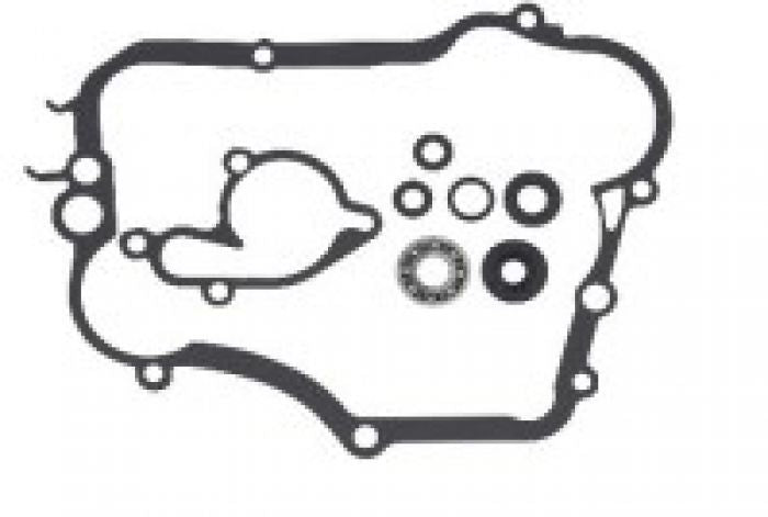 PSYCHIC Water Pump Repair Kit - Part Number MX-10261