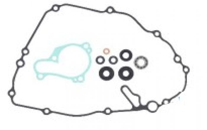 Psychic Water Pump Repair Kit - Model MX-10262 for Efficient Maintenance