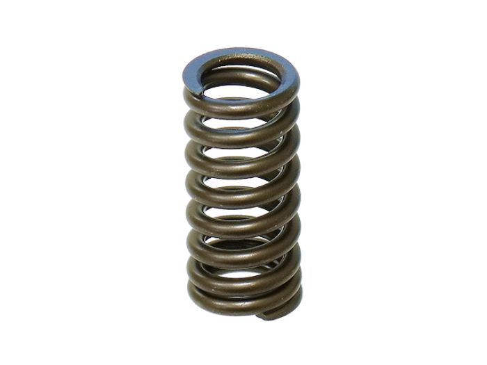 Psychic XU-09532-1IS Intake Valve Spring Kit for Automotive Engines