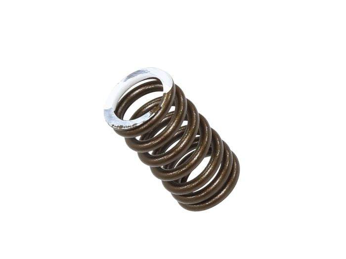 Psychic XU-09560ES Exhaust Valve Spring Kit for Engine Performance