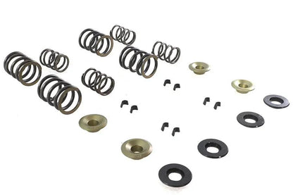 Kibblewhite Valve Spring Kit for Harley Davidson FL Models - Part #20-2110 by Kibblewhite