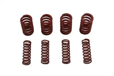 Andrews High Lift Valve Springs Set for Harley Davidson FXST (1999-2008) by Andrews