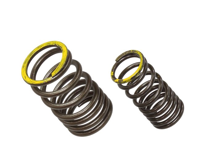 Psychic XU-09563ES Exhaust Valve Spring Kit for Automotive Applications