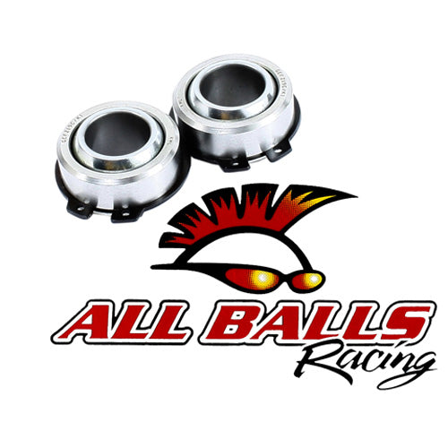 All Balls Racing Swing Arm Bearing Kit - Part Number 28-1095