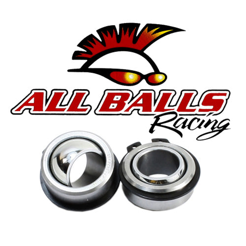 ALL BALLS RACING Swing Arm Bearing Kit - Part #28-1139