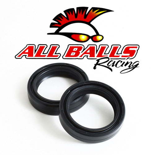 All Balls Racing Fork Seal Kit 55-111 for Motorcycle Suspension