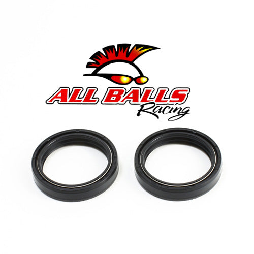 All Balls Racing Fork Seal Kit 55-125 for Motorcycle Suspension