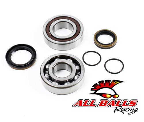 All Balls Racing Crank Bearing and Seal Kit - Part #24-1097