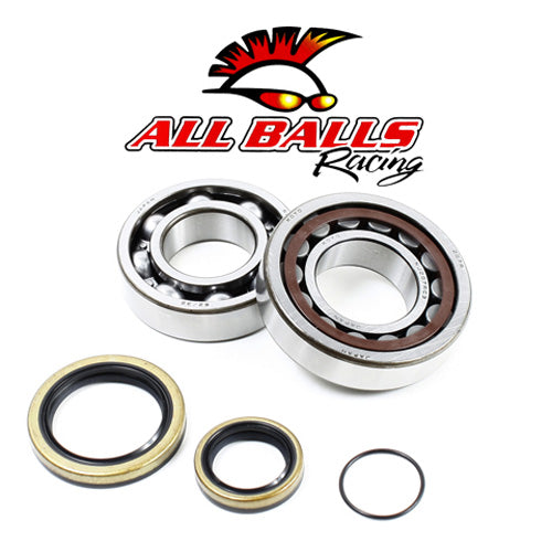 All Balls Racing Crank Bearing and Seal Kit – Part Number 24-1098