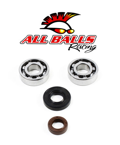 All Balls Racing Crank Bearing and Seal Kit - Part Number 24-1101