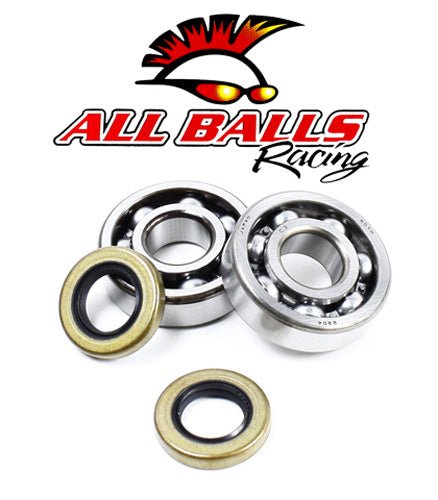 All Balls Racing Crank Bearing and Seal Kit (Part #24-1102) for Motorcycle Engines