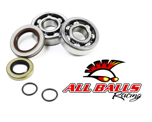 All Balls Racing Crank Bearing and Seal Kit 24-1103 for Motorcycle Engines