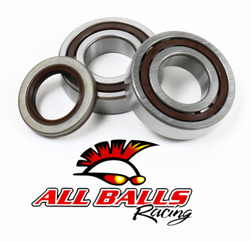 All Balls Racing Crank Bearing and Seal Kit Part #24-1106 for Motorcycle Engines