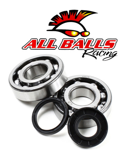 All Balls Racing Crank Bearing Kit (Part Number 24-1107)