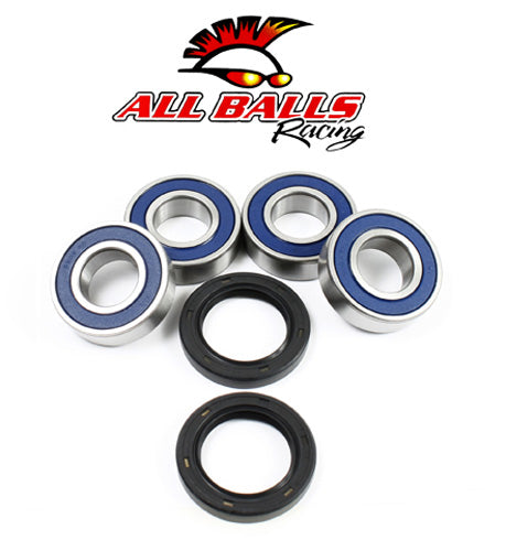All Balls Racing Rear Independent Suspension Kit - Part Number 50-1079