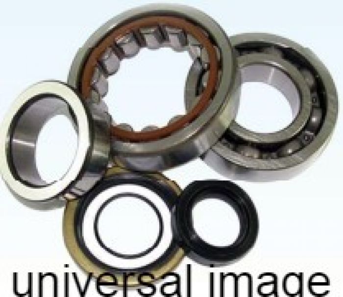 All Balls Racing Crankshaft Bearing Kit Part #24-1125 for Motorcycle Engines