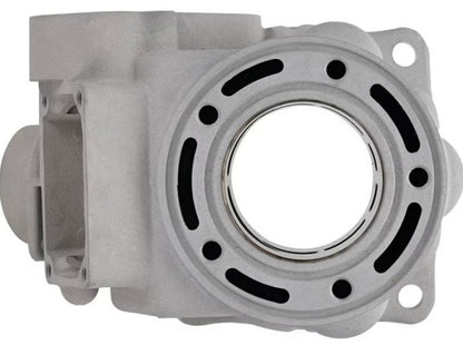 Cylinder Works Standard Bore Cylinder CW20011 for Enhanced Engine Performance
