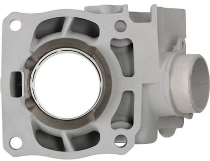Cylinder Works Standard Bore Cylinder CW20011 for Enhanced Engine Performance