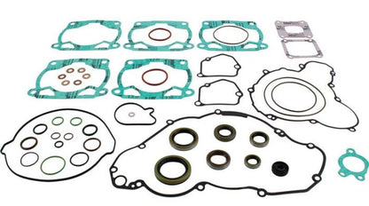 Vertex Complete Gasket Kit with Seals - Part Number 8110057