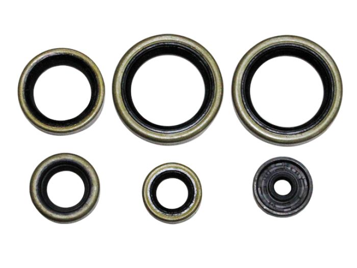 Namura Engine Oil Seal Set (6 Pieces) - Part Number NX-09226