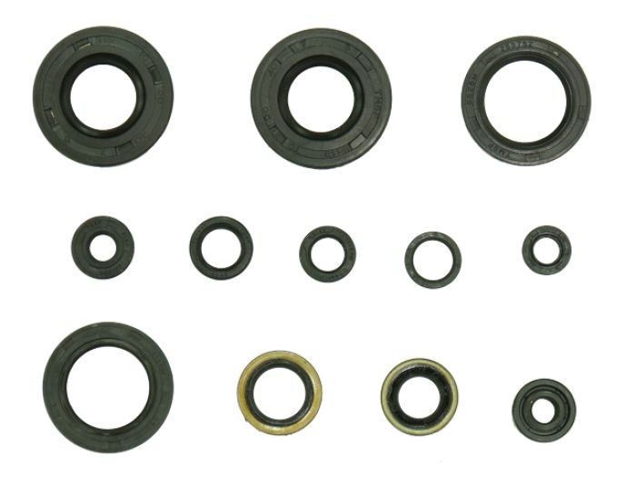 NAMURA Engine Oil Seal Set (12 Pieces) - Part Number NX-09216