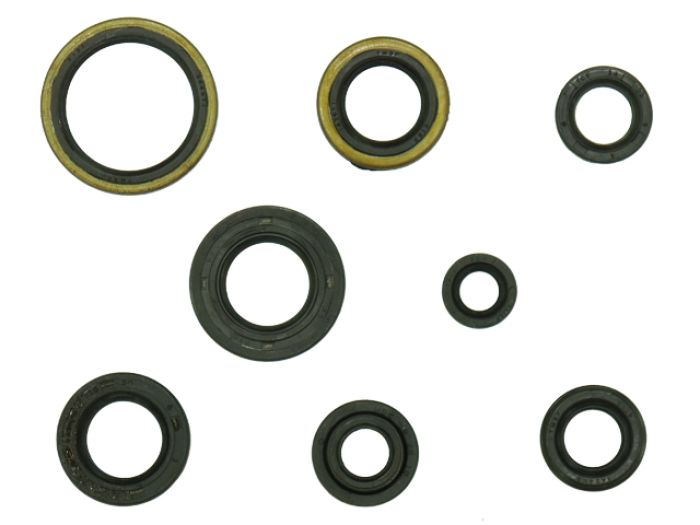 NAMURA Engine Oil Seal Set (8 Pieces) - Part Number NX-09219
