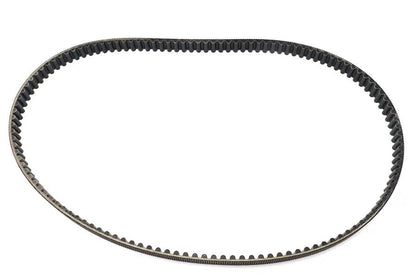 Belt Drive LTD. 1-1/8 Inch Rear Belt with 125 Tooth - OEM Cross Reference 40038-91 by Belt Drive LTD.