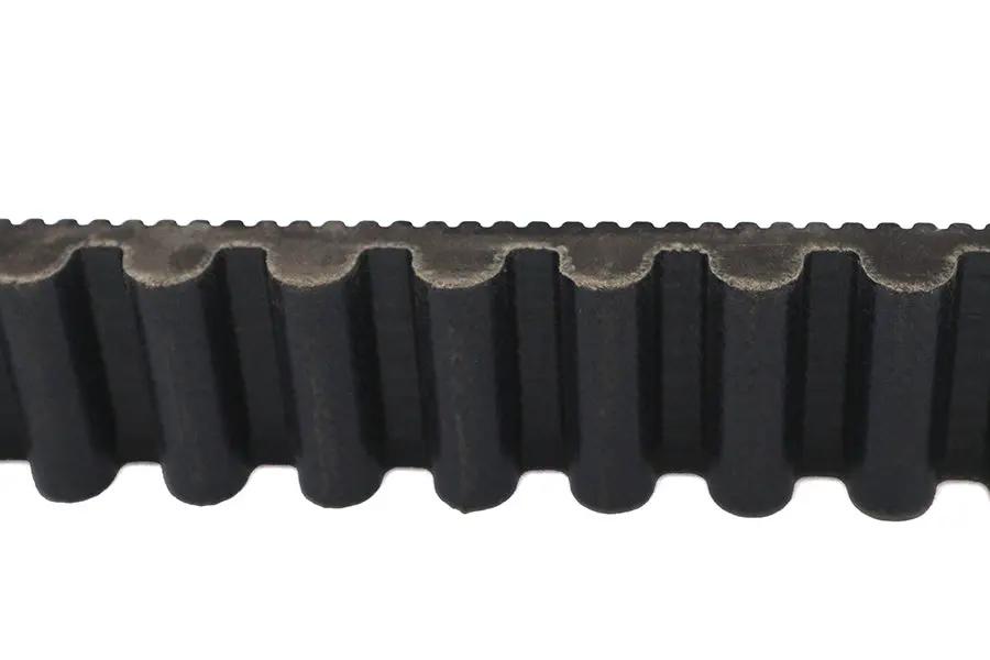 Belt Drive LTD. 1-1/8 Inch Rear Belt with 125 Tooth - OEM Cross Reference 40038-91 by Belt Drive LTD.