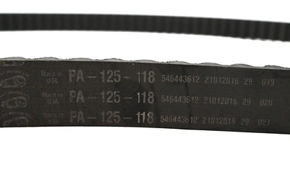 Belt Drive LTD. 1-1/8 inch Carlisle Panther Rear Belt 125 Tooth by Belt Drive LTD.
