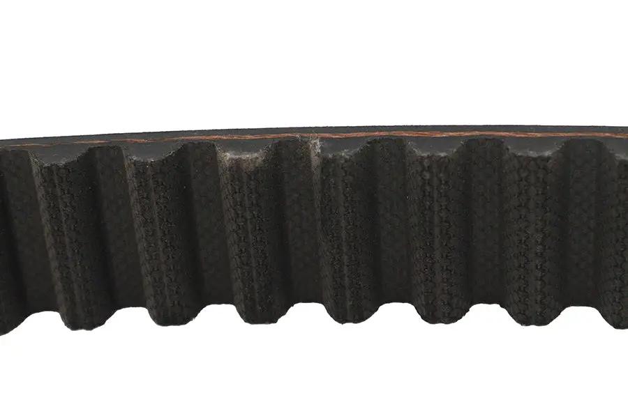 Belt Drive LTD. 1-1/8 inch Carlisle Panther Rear Belt 125 Tooth by Belt Drive LTD.