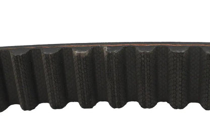 Belt Drive LTD. 1-1/8 inch Carlisle Panther Rear Belt 125 Tooth by Belt Drive LTD.