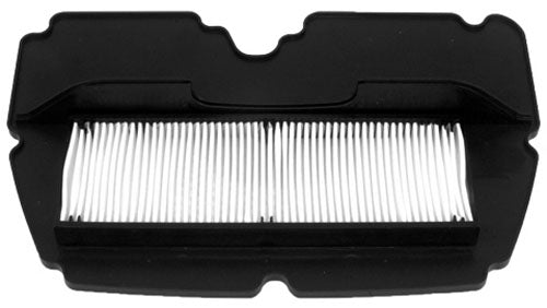 EMGO Air Filter for Honda 17210-MWO-000 - High-Performance Replacement Part