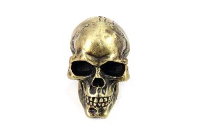 V-Twin Universal Brass Finish Skull Shifter Knob - 2 Inch Height by V-Twin