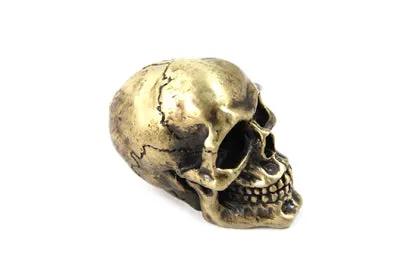 V-Twin Universal Brass Finish Skull Shifter Knob - 2 Inch Height by V-Twin