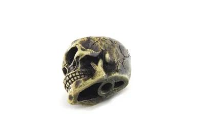 V-Twin Universal Brass Finish Skull Shifter Knob - 2 Inch Height by V-Twin
