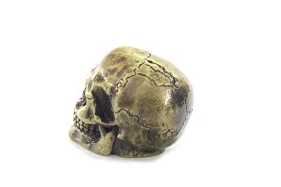 V-Twin Universal Brass Finish Skull Shifter Knob - 2 Inch Height by V-Twin