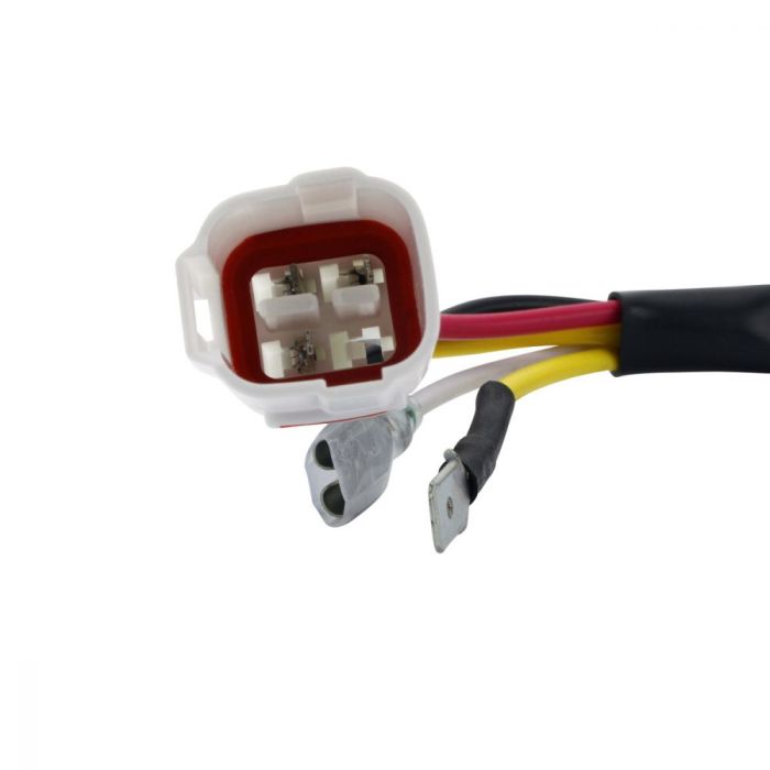 RMSTATOR RMS900-107508 100W AC to DC Conversion Kit with Stator and Regulator